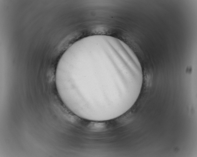 X0000110730665200907022111