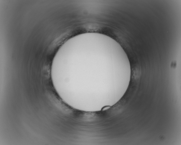 X0000110730666200907022111