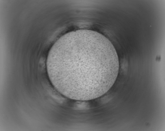 X0000110730667200907022111