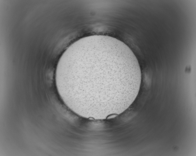 X0000110730668200907022111