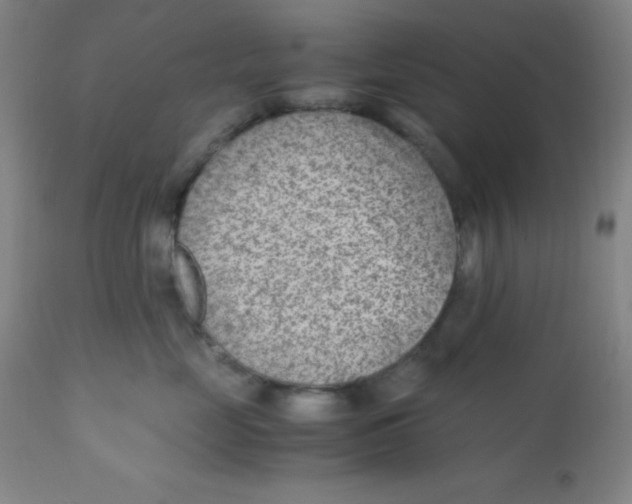 X0000110730669200907022111