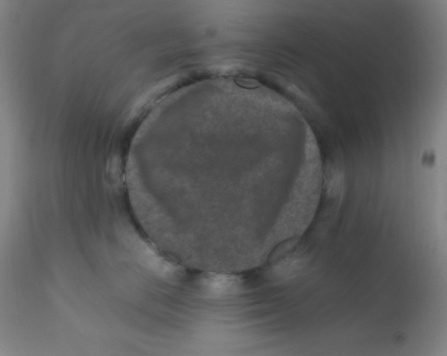 X0000110730670200907022111