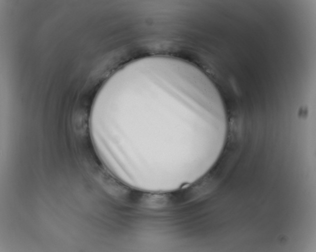 X0000110730671200907022111