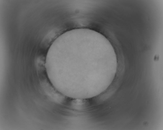 X0000110730672200907022111