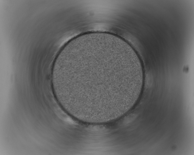 X0000110730673200907022110