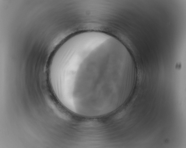 X0000110730674200907022110