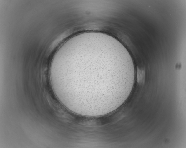 X0000110730675200907022110