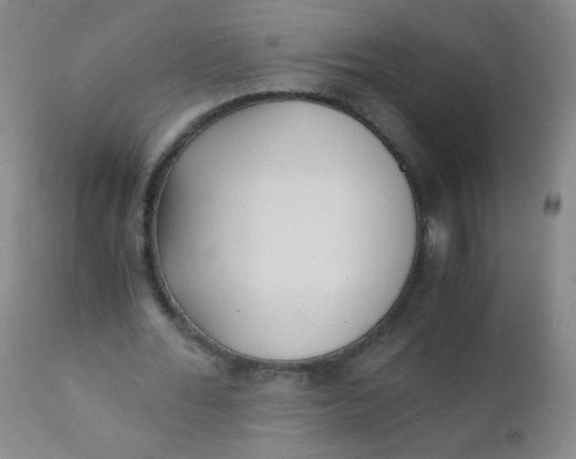 X0000110730676200907022110