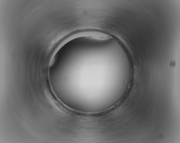 X0000110730677200907022110