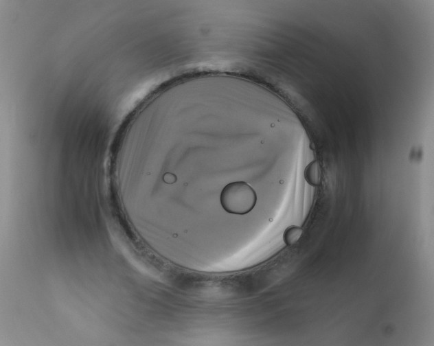 X0000110730678200907022110