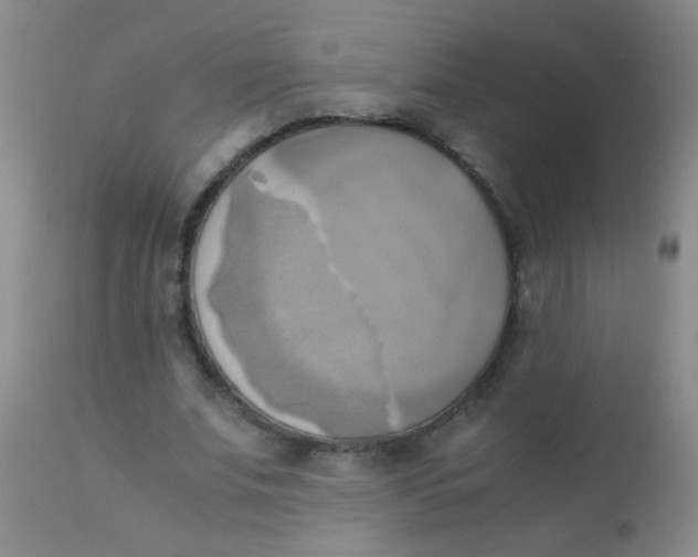 X0000110730679200907022110