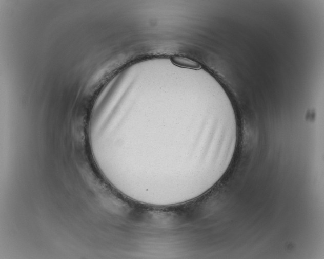 X0000110730681200907022110