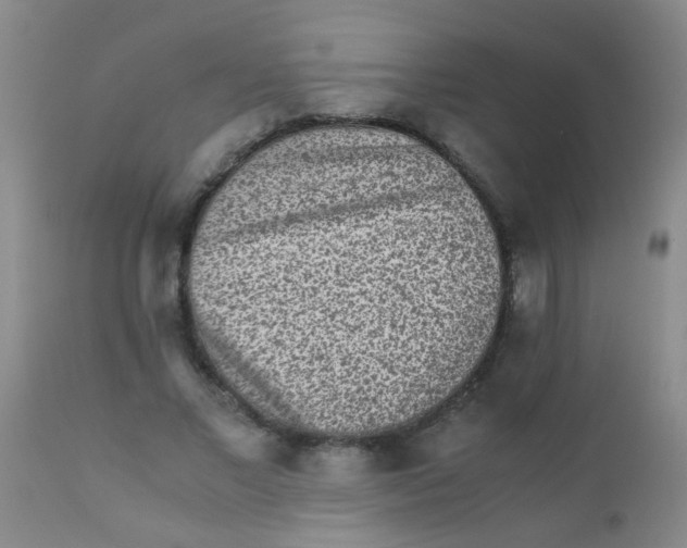 X0000110730685200907022110