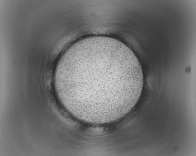 X0000110730687200907022110