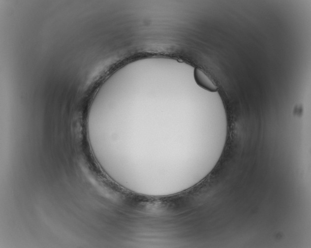 X0000110730688200907022110