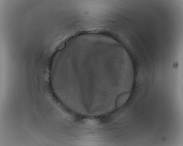 X0000110730689200907022110