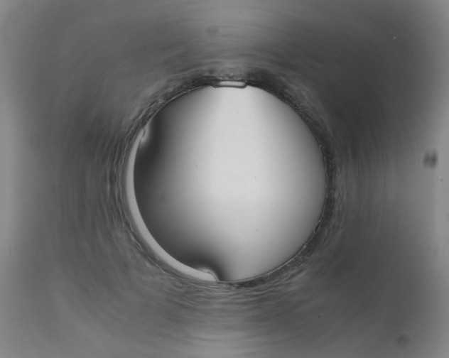 X0000110730697200907022110