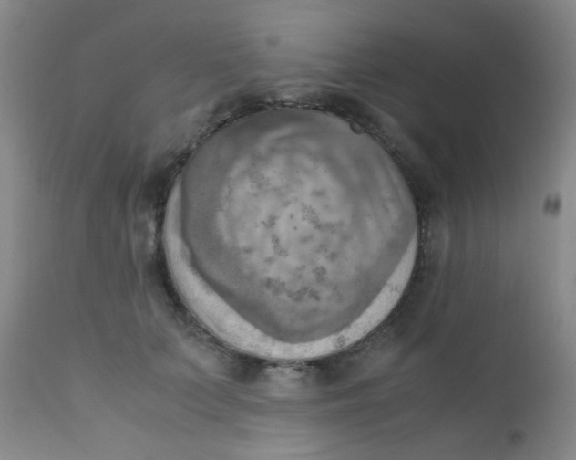 X0000110730703200907022110