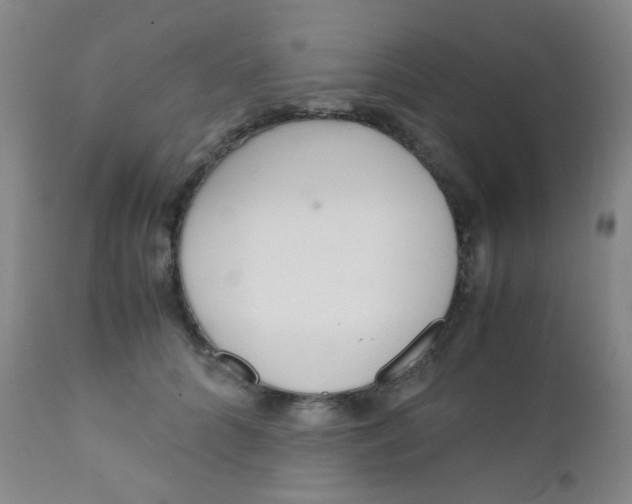 X0000110730704200907022110