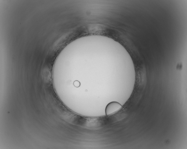 X0000110730705200907022110