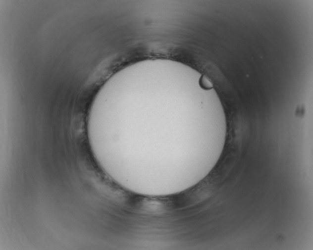 X0000110730706200907022110