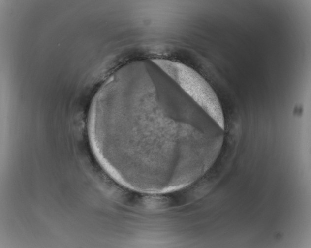 X0000110730707200907022110