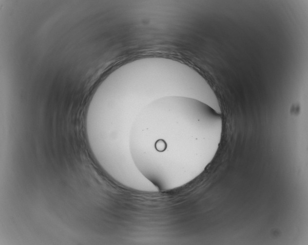 X0000110730708200907022110