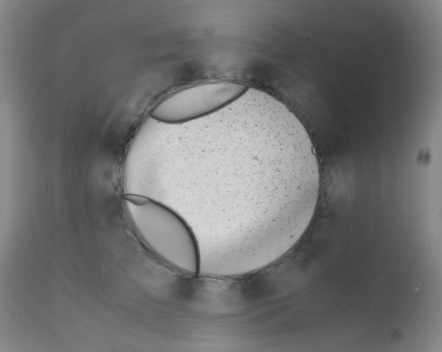 X0000110730709200907022110