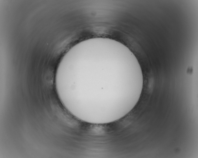 X0000110730710200907022110