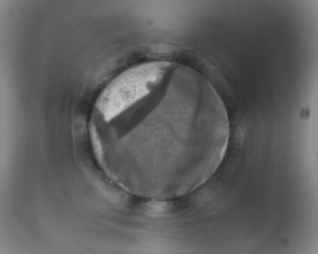 X0000110730711200907022110