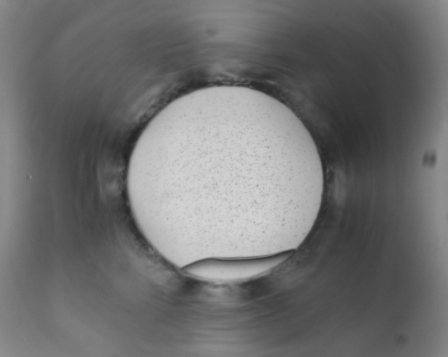 X0000110730712200907022110