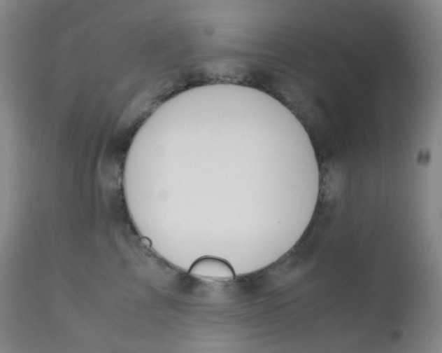 X0000110730713200907022110