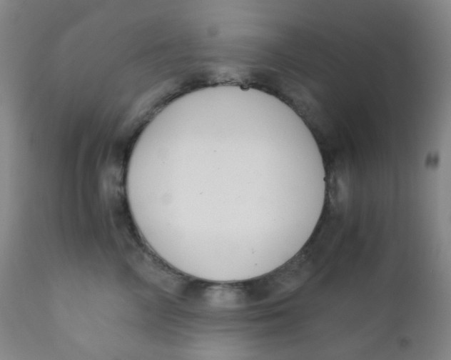 X0000110730714200907022110