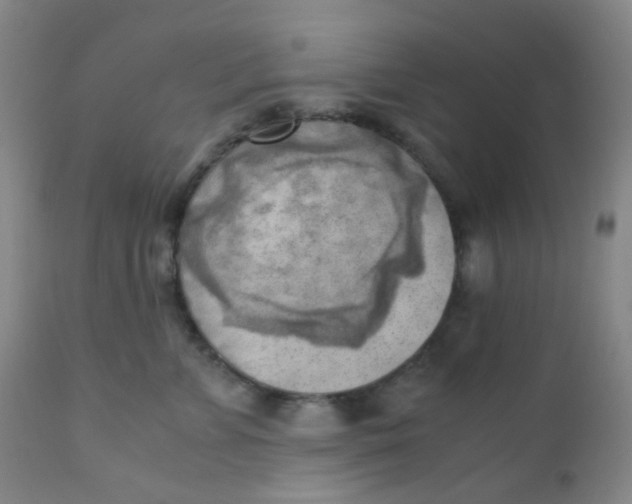 X0000110730715200907022110