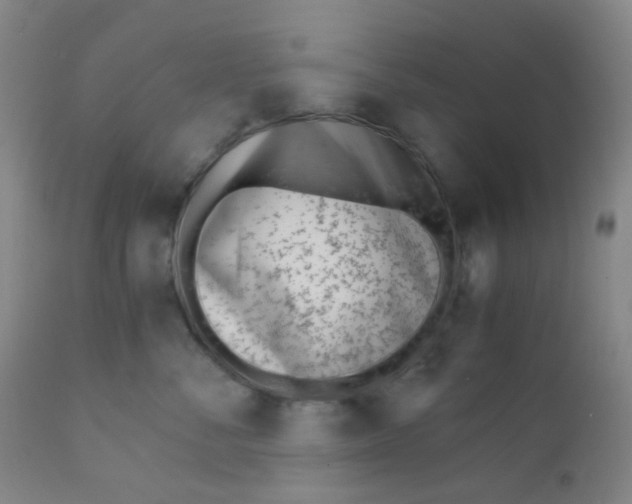 X0000110730716200907022110