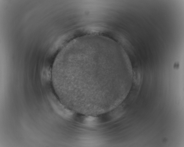 X0000110730718200907022110