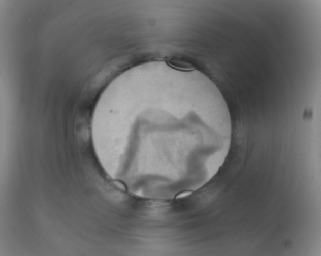 X0000110730719200907022110