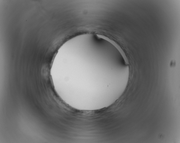 X0000110730720200907022110