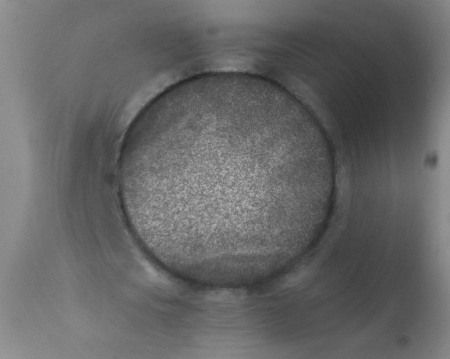 X0000110730721200907022109