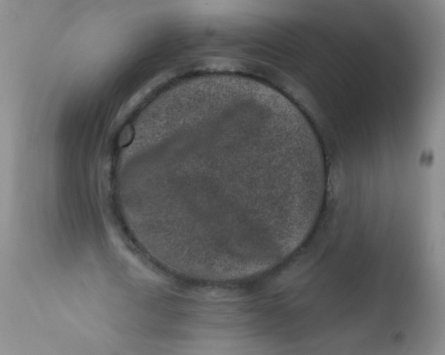 X0000110730722200907022109