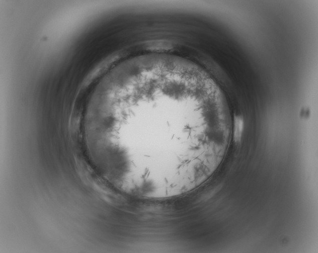 X0000110730723200907022109