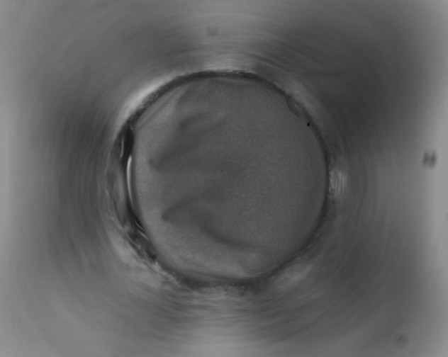 X0000110730724200907022109