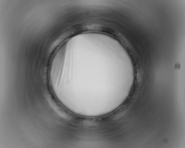 X0000110730725200907022109