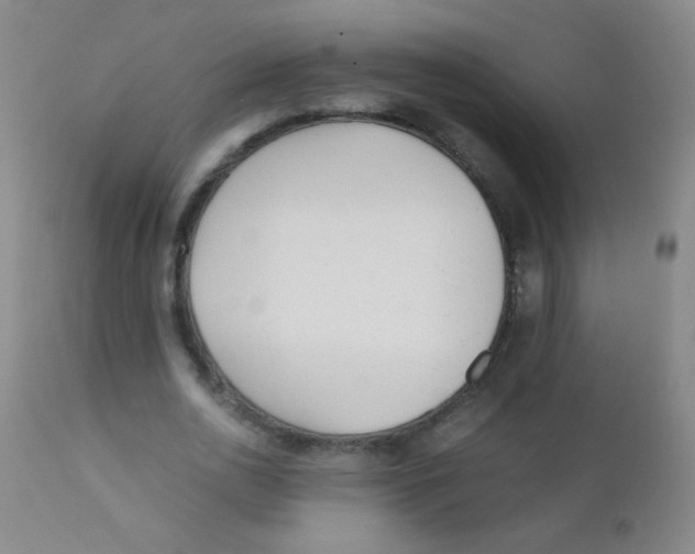 X0000110730726200907022109