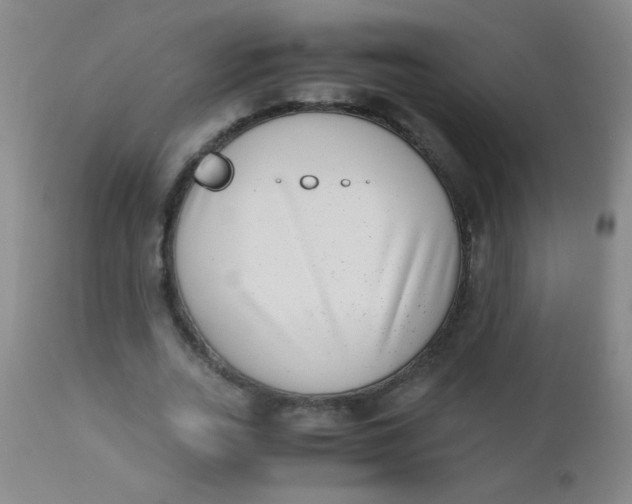 X0000110730727200907022109