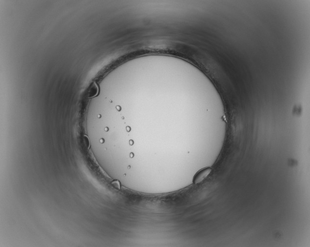 X0000110730728200907022109