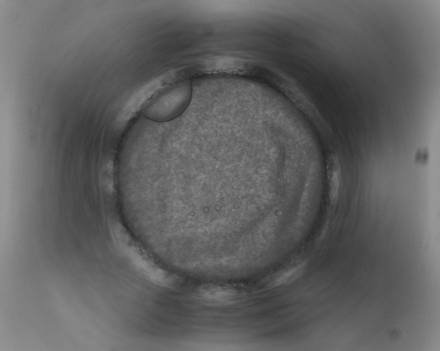 X0000110730729200907022109