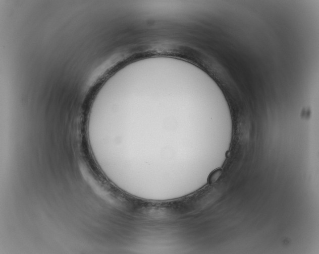 X0000110730730200907022109