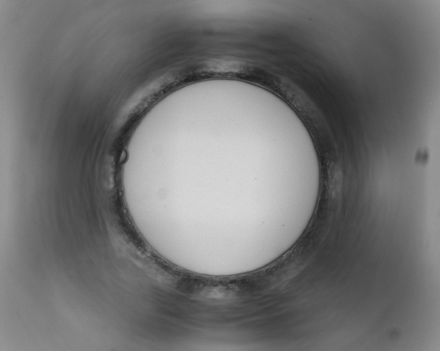 X0000110730731200907022109