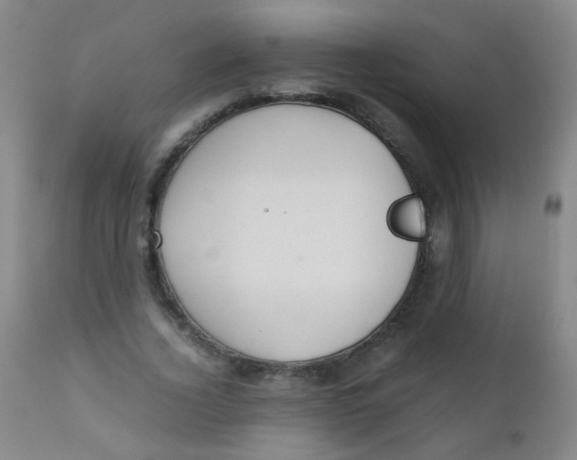 X0000110730732200907022109